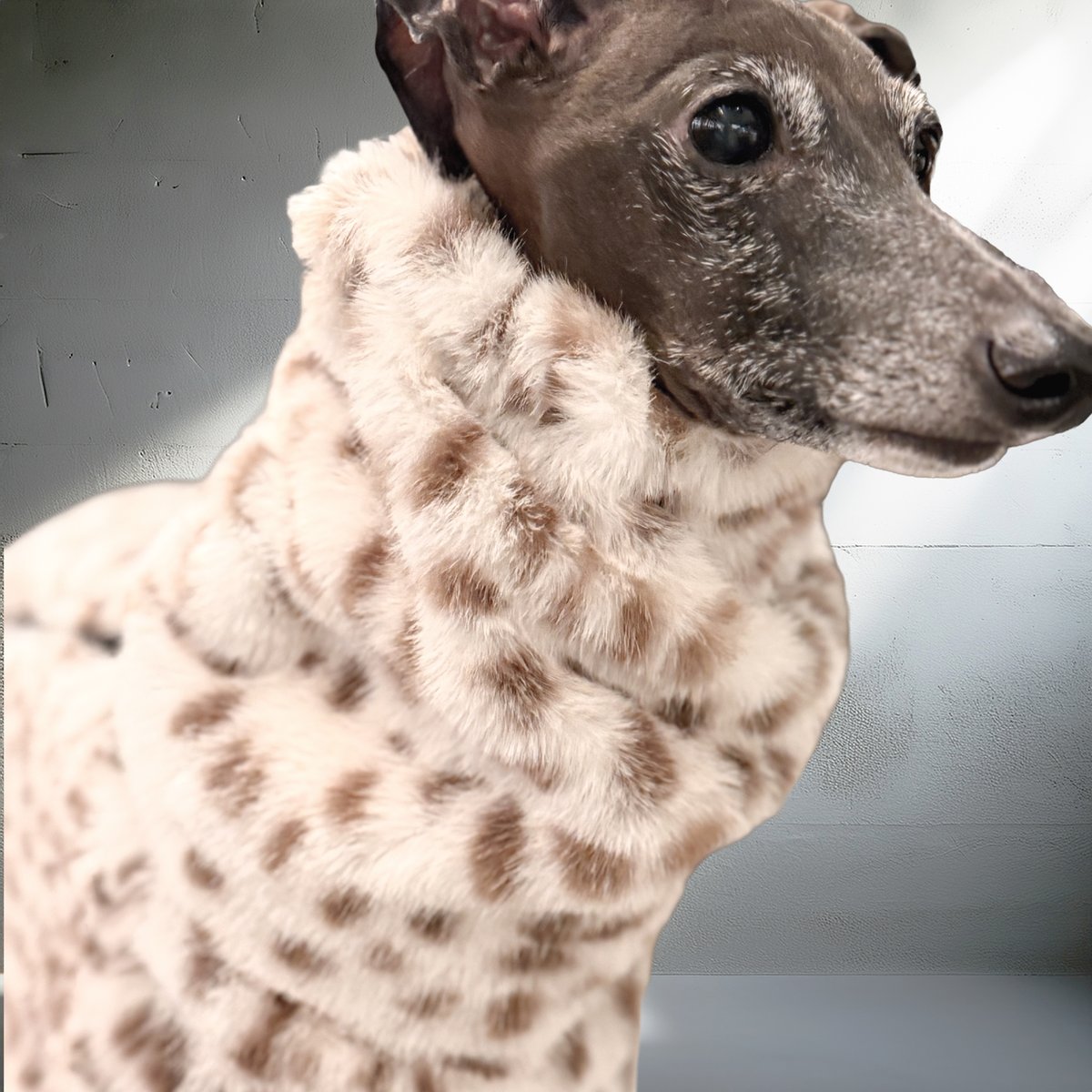 ECO-FUR LEOPARD ZIP-UP ROMPERS:IVORY//ｴｺﾌｧｰﾚｵﾊﾟ