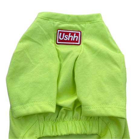 BOXLOGO cooling T-shirts .GREEN//ﾎﾞﾂｸｽﾛｺﾞｸｰﾘﾝｸﾞTｼｬﾂ.グリーン