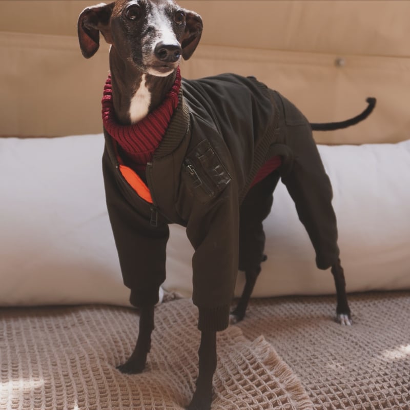 MA-1 FLIGHT PANTS:khaki green //MA-1ﾌﾗｲﾄﾊﾟﾝﾂｵｰﾊ