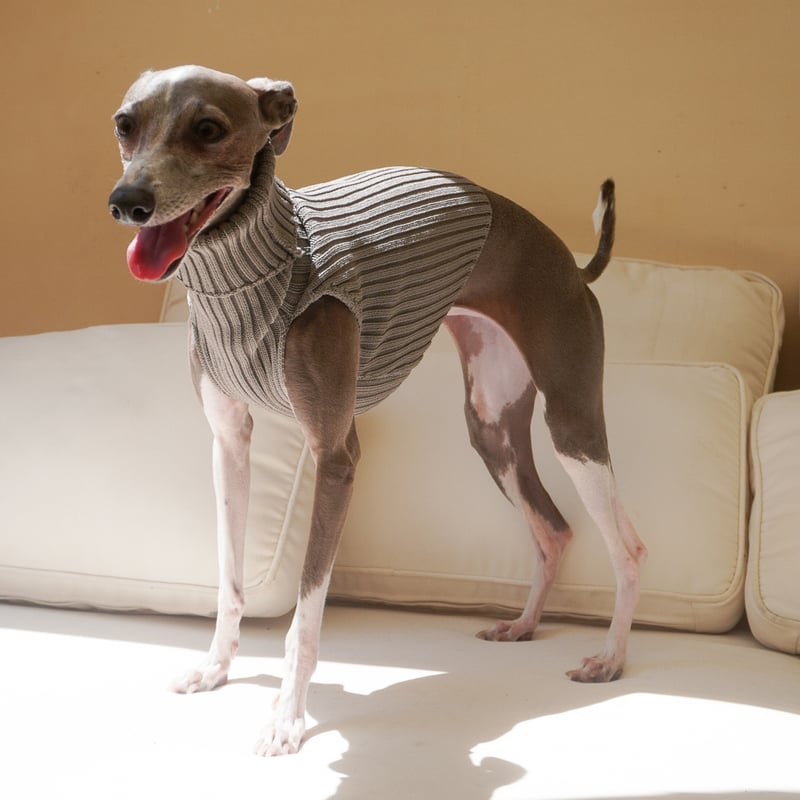 Rib stretch knit tops:PISTATIO// リブストレッチニットトップス