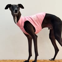 Neoprane zip-up half1/2 tops pink //ネオプレンジップアップハーフトップ ピンク