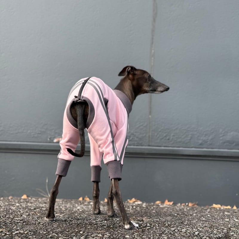 ZIP UP jersey rompers:PINK// ｼﾞｯﾌﾟｱｯﾌﾟｼﾞｬｰｼﾞﾛﾝﾊ
