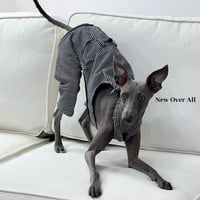 オーバーオール <ヒッコリー>