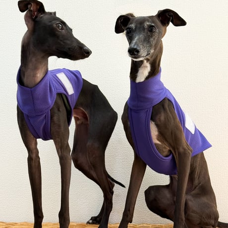 イタグレ服【美品】ushh ファーベスト　Sサイズ② CATEGORY ベスト | USHH_Italiangreyhound
