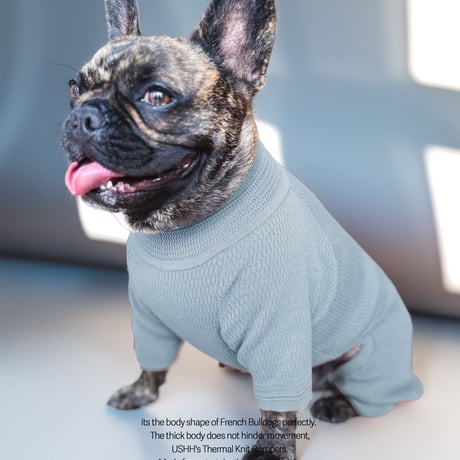<FRENCH BULLDOG> Thermal Knit Rompers: solty lake <フレンチブルドッグ:ｻｰﾏﾙﾆｯﾄﾛﾝﾊﾟｰｽ: ｿﾙﾃｨﾚｲｸ>