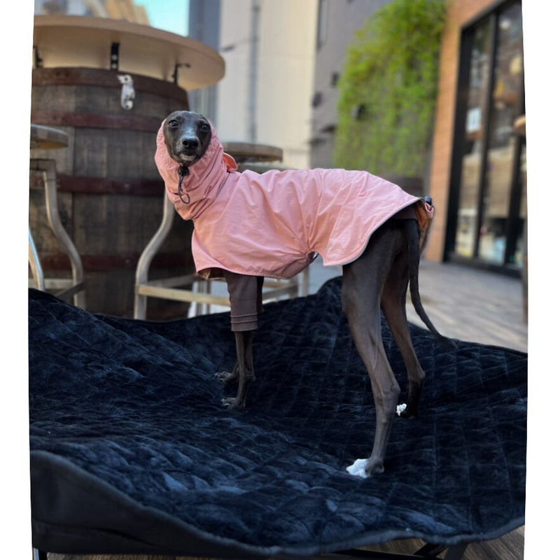 フロントタック.レインコート: グレージュ | USHH_Italiangreyhound