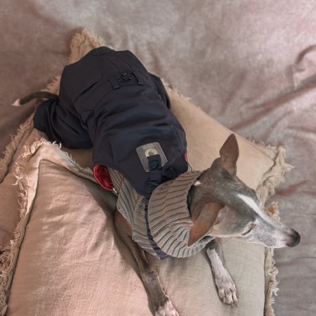 <ITG>MA-1 FLIGHT PANTS:charcoal navy //<イタグレ＞MA-1ﾌﾗｲﾄﾊﾟﾝﾂｵｰﾊﾞｰｵｰﾙ:ﾁｬｺｰﾙﾈｲﾋﾞｰ
