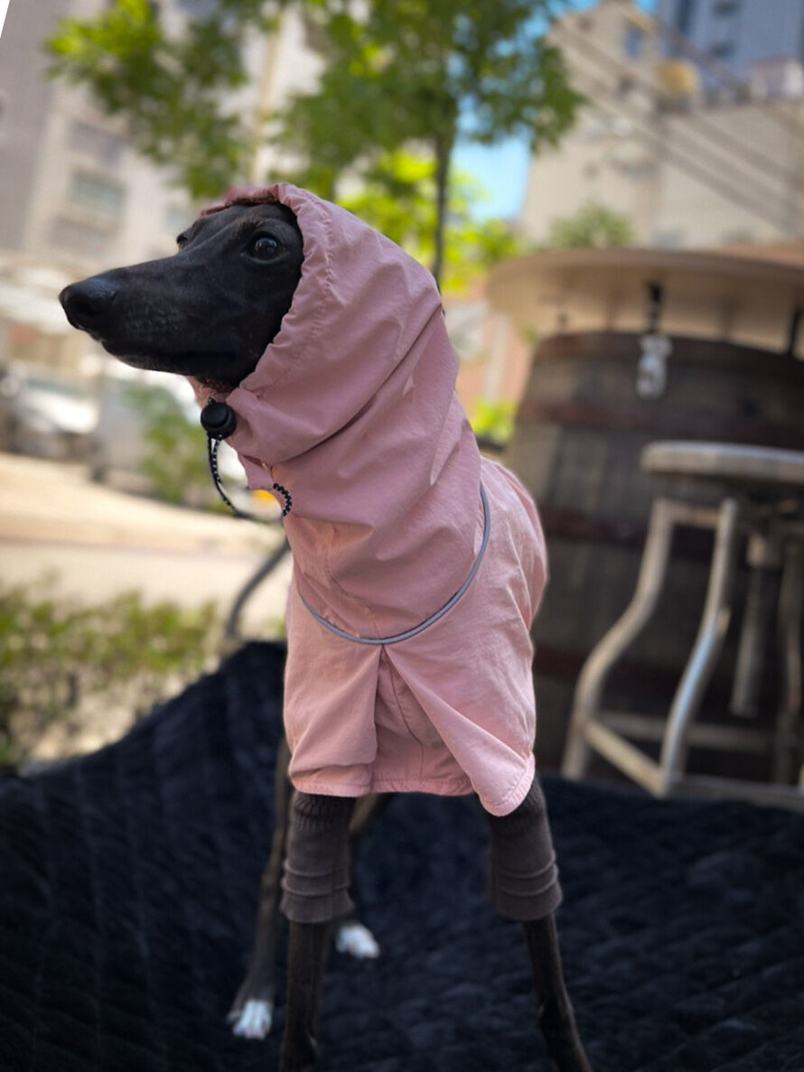 フロントタック.レインコート: エクリュ | USHH_Italiangreyhound