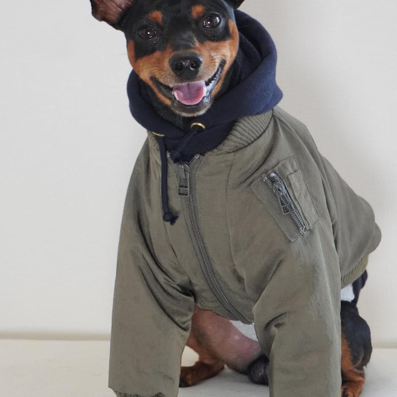 MA-1 FLIGHT JACKET:Olive //MA-1フライトジャケット:オリーブ MA-1 FLIGHT JACKET:Olive //MA-1フライトジャケット:オリーブ