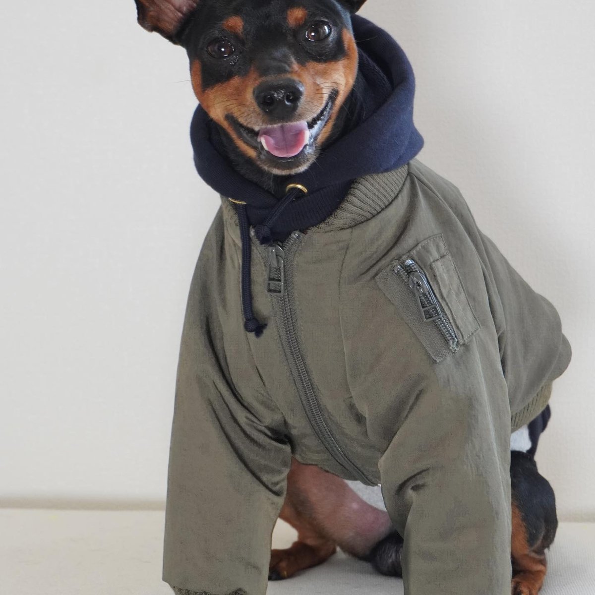 MA-1 FLIGHT JACKET:Olive //MA-1ﾌﾗｲﾄｼﾞｬｹｯﾄ:ｵﾘｰﾌﾞ