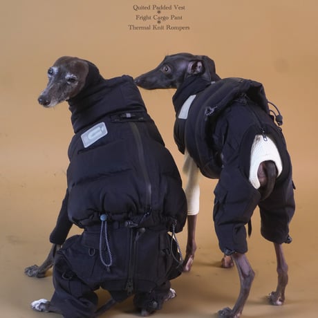 FLIGHT CARGO PANTS:OLIVE //ﾌﾗｲﾄカーゴパンツ:ｵﾘｰﾌﾞ