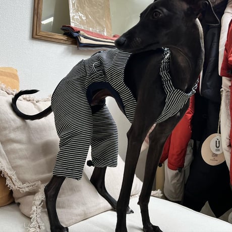 オーバーオール <ヒッコリー>