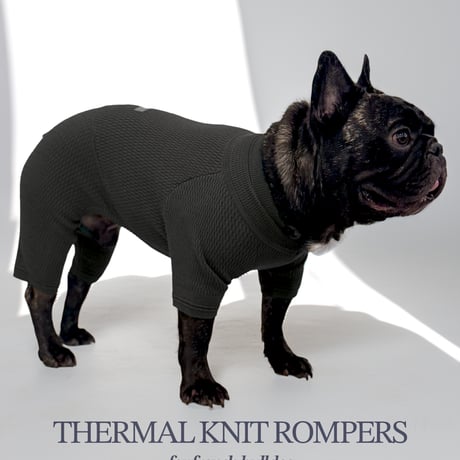 USHH_Italiangreyhound