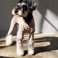<MINIATURE SCHNAUZER> Thermal Knit Rompers: armond  <ﾐﾆﾁｭｱｼｭﾅｳｻﾞｰ:ｻｰﾏﾙﾆｯﾄﾛﾝﾊﾟｰｽ: ｱｰﾓﾝﾄﾞ>