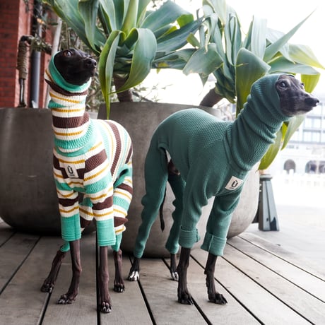 CATEGORY ロンパース | USHH_Italiangreyhound
