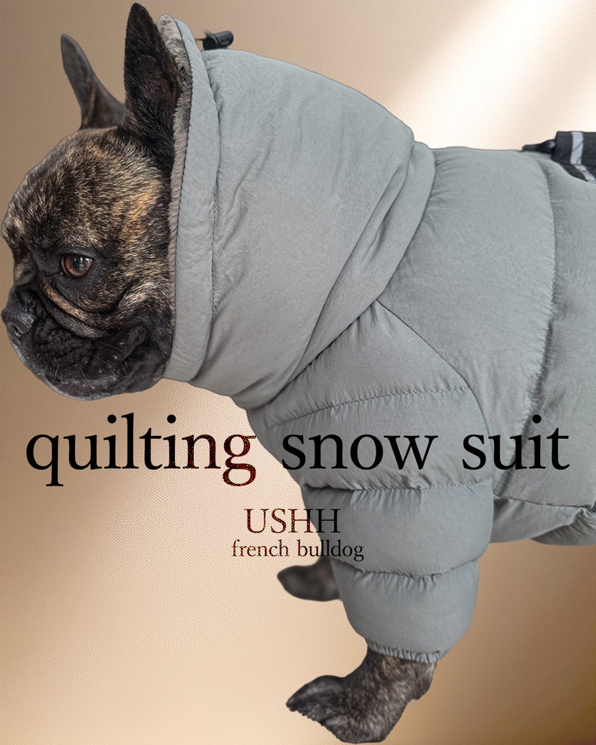 FRENCH BULLDOG> QUILTING SNOW SUIT:DUSTY BLUE