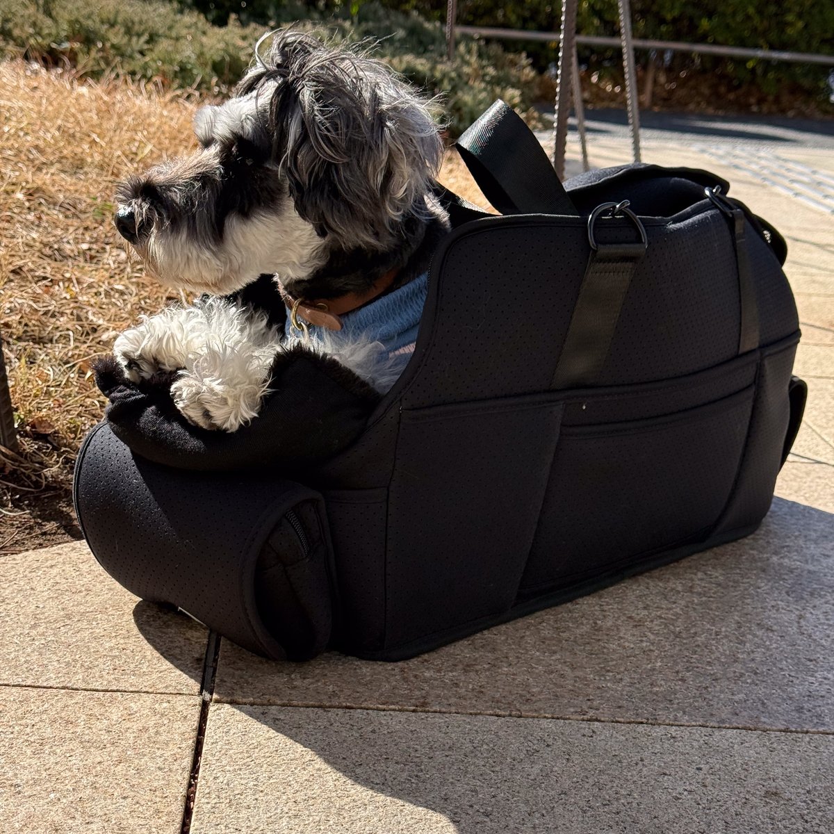 USHH BAG> MULTI CURRY BAG//マルチキャリーバッグ// | USH