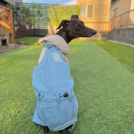 イタグレ服【美品】ushh ファーベスト　Sサイズ② ラビットファー ベスト（ネイビー） - イタグレ(イタリアン