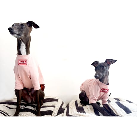 BOXLOGO cooling T-shirts .PINK//ﾎﾞﾂｸｽﾛｺﾞｸｰﾘﾝｸﾞTｼｬﾂ.ピンク
