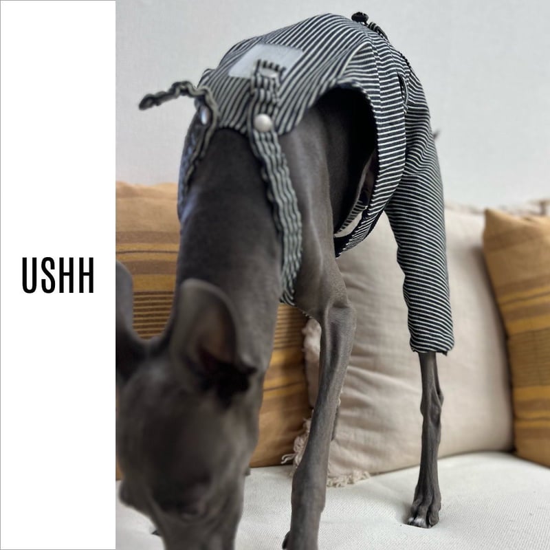 BRAVERY FULLCOUNT ネイビー ヒッコリーオーバーオール デッドストック☆90s USA製 POINTERポインター ローバック