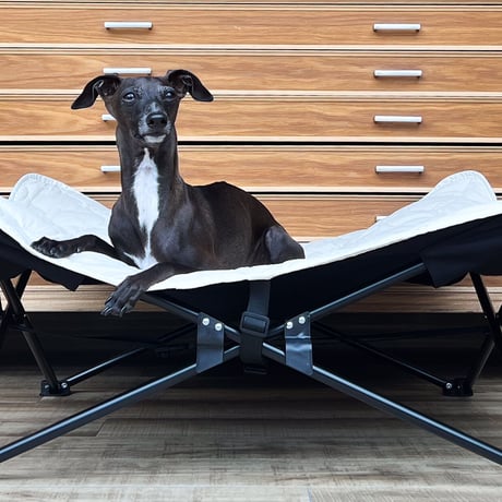 QUILTING DOG COT  :<ECRU> // キルティングドッグコット: <エクリュ>