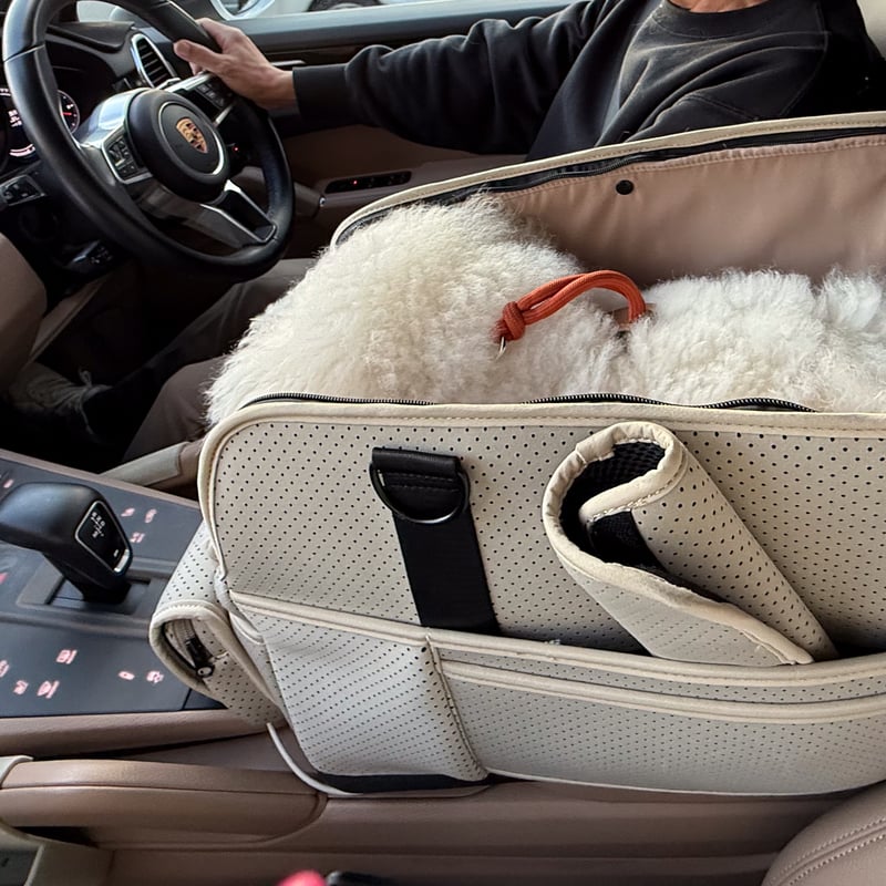 USHH マルチキャリーポーチバッグ multi carry pouch bag //ﾏﾙﾁｷｬﾘｰﾎﾟｰﾁﾊﾞｯｸﾞ | USHH