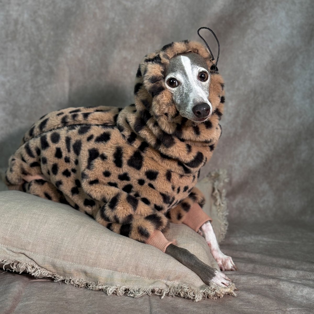 ECO-FUR LEOPARD ZIP-UP ROMPERS:BROWN //ｴｺﾌｧｰﾚｵﾊ