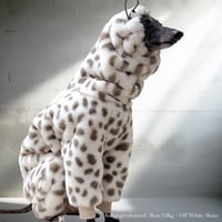 USHH_Italiangreyhound