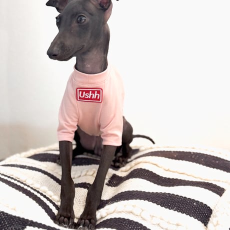 BOXLOGO cooling T-shirts .PINK//ﾎﾞﾂｸｽﾛｺﾞｸｰﾘﾝｸﾞTｼｬﾂ.ピンク