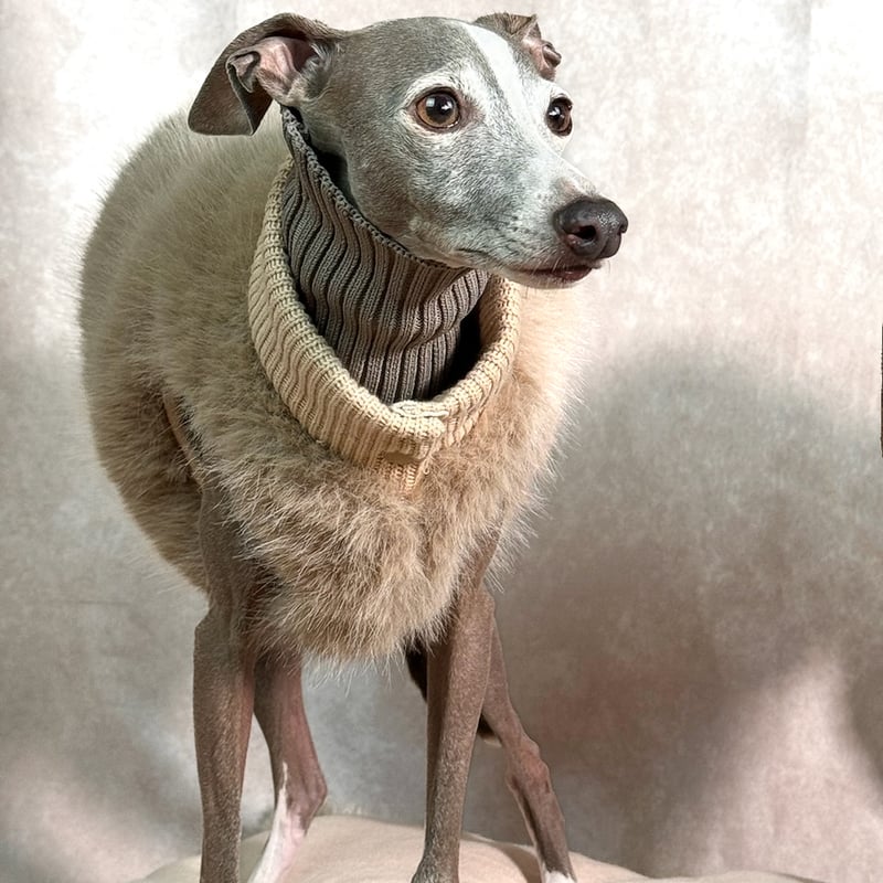 ECO FUR SHORT VEST:Light beige//エコファーショートベスト: ラ