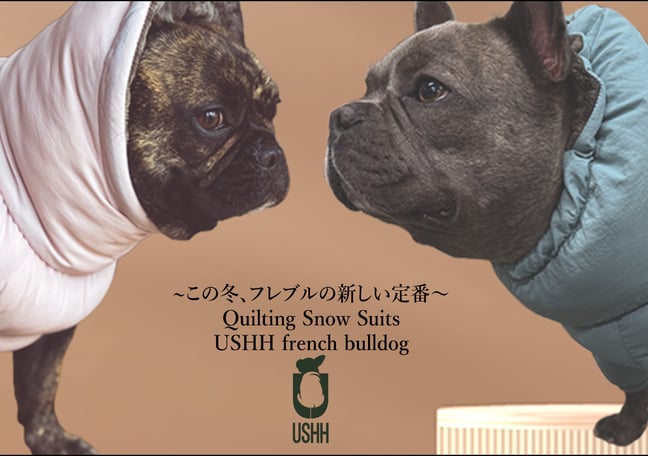 USHH_Italiangreyhound