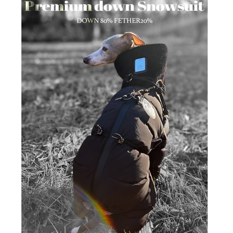 CATEGORY アウター | USHH_Italiangreyhound