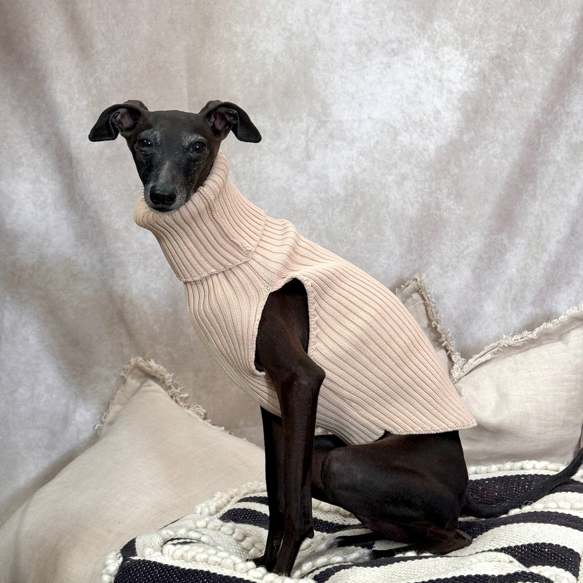 Rib stretch knit tops:ECRU// リブストレッチニットトップス:エクリ