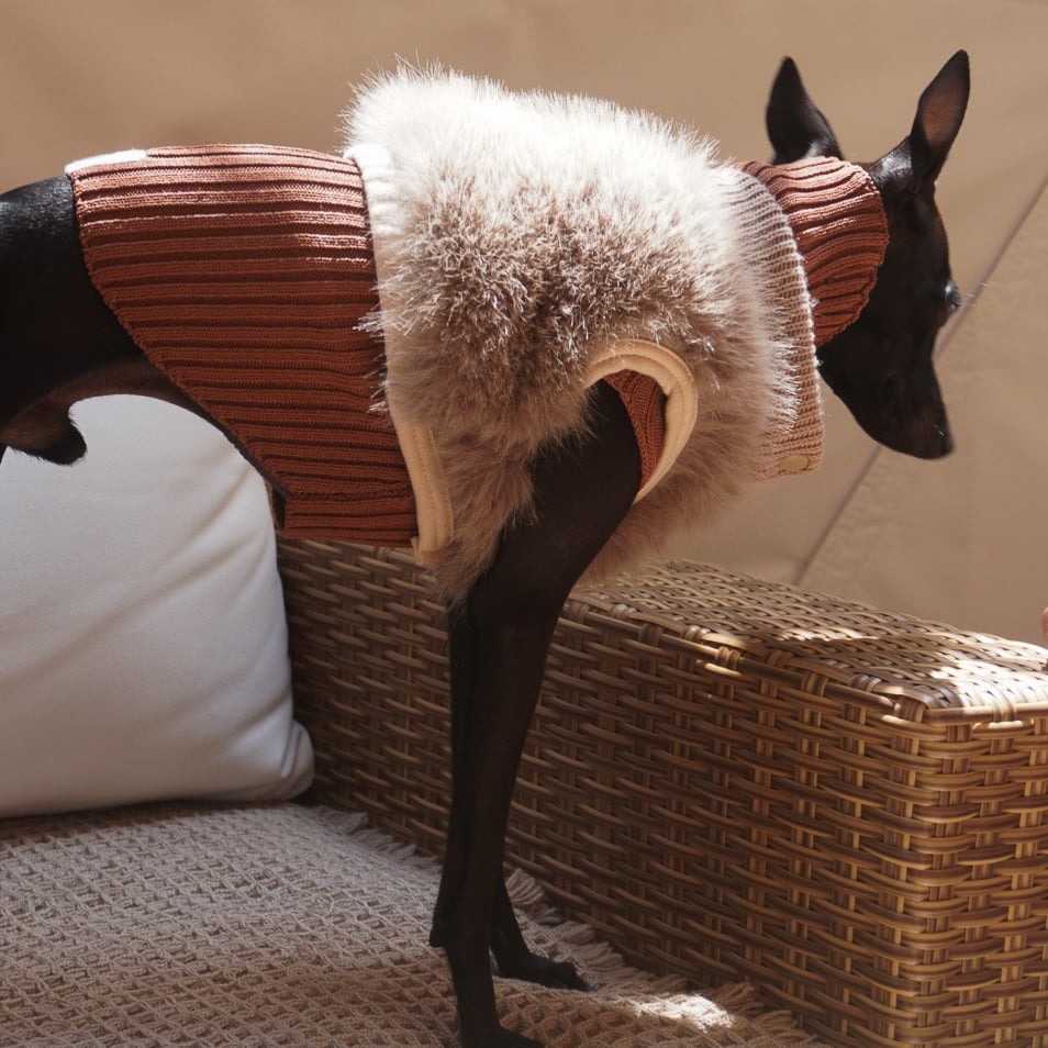 ushh イタグレ服 エコファーショートベスト チャコール　M 美品 fit=scale-down,w=1200