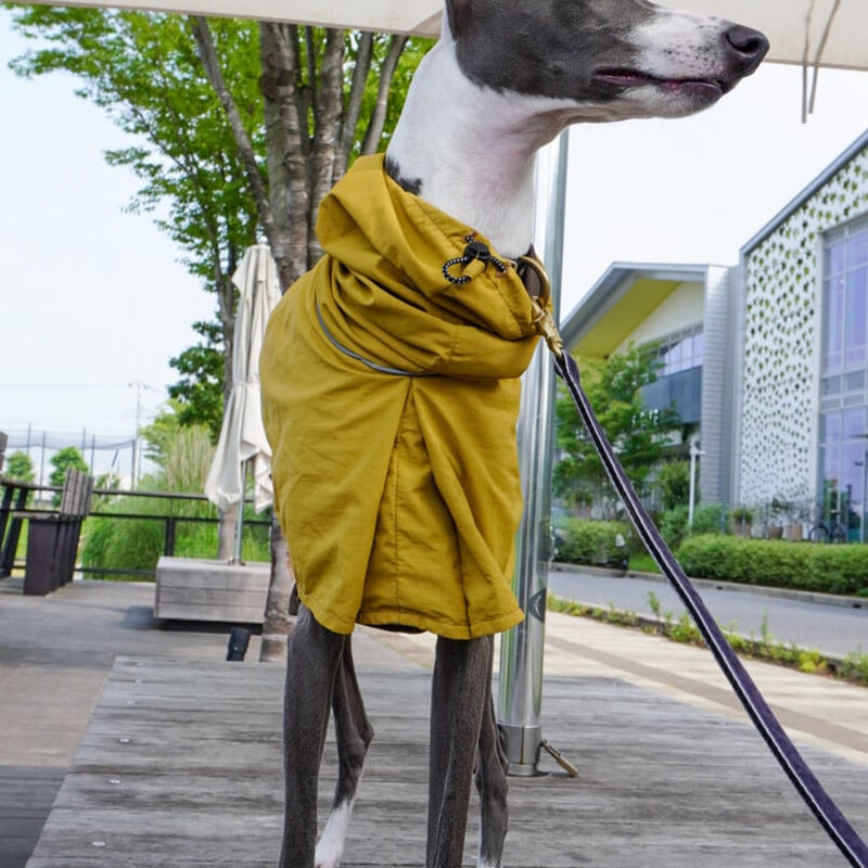 フロントタック.レインコート: グレージュ | USHH_Italiangreyhound
