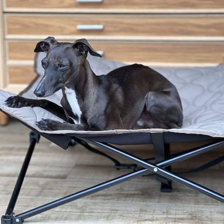 QUILTING DOG COT  :<MOCA KHAKI> // キルティングドッグコット: <モカカーキ>
