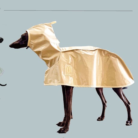 Enamel patent  rain coat: pistachio //エナメルパテントレインコート:ピスタチオ