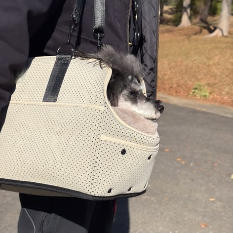 <USHH  BAG> MULTI CURRY BAG//マルチキャリーバッグ//