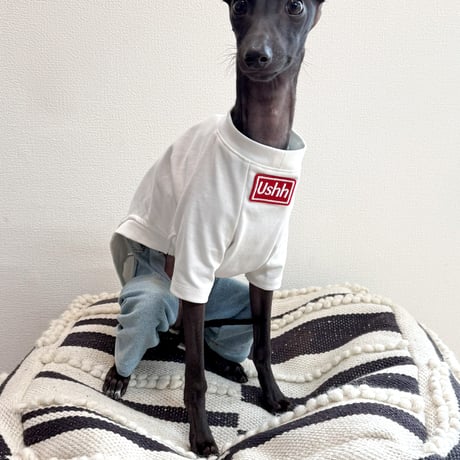 BOXLOGO cooling T-shirts .White//ﾎﾞﾂｸｽﾛｺﾞｸｰﾘﾝｸﾞTｼｬﾂ.ホワイト