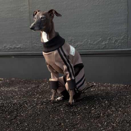 CATEGORY ロンパース | USHH_Italiangreyhound CATEGORY ロンパース | USHH_Italiangreyhound