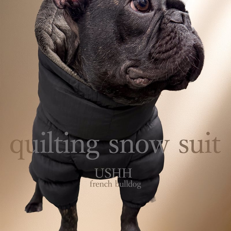 FRENCH BULLDOG> QUILTING SNOW SUIT:DUSTY BLUE