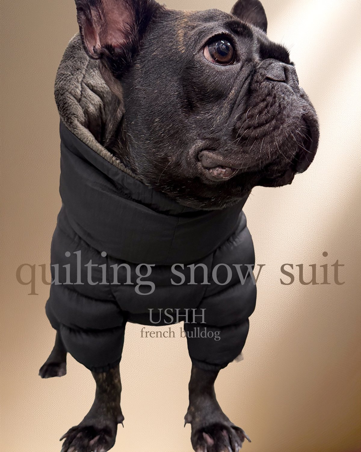 FRENCH BULLDOG> QUILTING SNOW SUIT:DUSTY BLUE