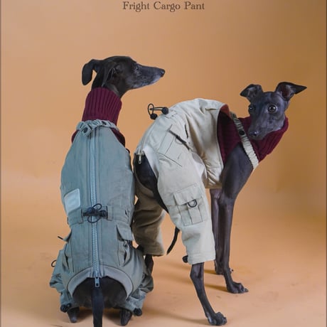 FLIGHT CARGO PANTS:OLIVE //ﾌﾗｲﾄカーゴパンツ:ｵﾘｰﾌﾞ