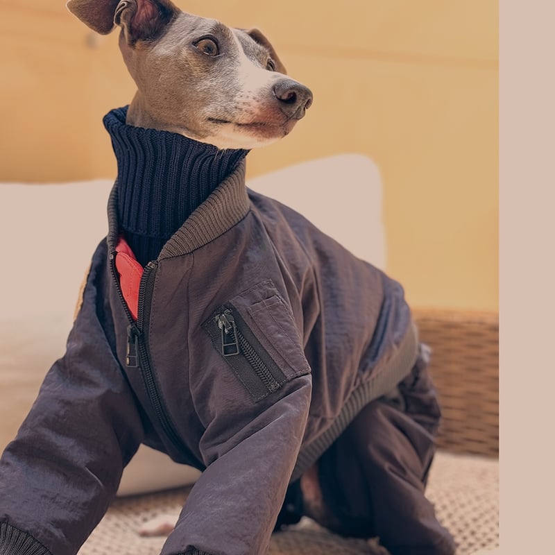 USHH MA-1フライトジャケット チャコールネイビー　XLサイズ　イタグレ MA-1 FLIGHT JACKET:Charcoal navy //MA-1ﾌﾗｲﾄｼﾞｬｹ