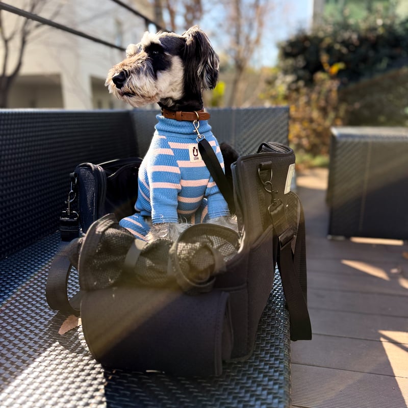 USHH マルチキャリーポーチバッグ multi carry pouch bag //ﾏﾙﾁｷｬﾘｰﾎﾟｰﾁﾊﾞｯｸﾞ | USHH