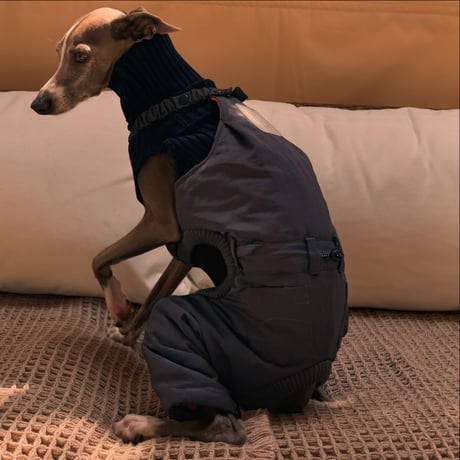 <ITG>MA-1 FLIGHT PANTS:charcoal navy //<イタグレ＞MA-1ﾌﾗｲﾄﾊﾟﾝﾂｵｰﾊﾞｰｵｰﾙ:ﾁｬｺｰﾙﾈｲﾋﾞｰ