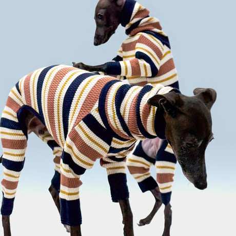 USHH_Italiangreyhound