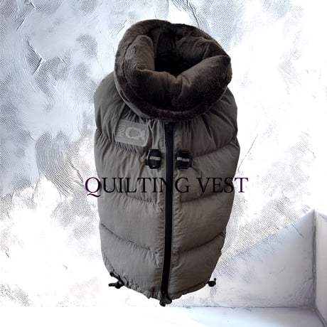 ビションフリーゼ | STORES