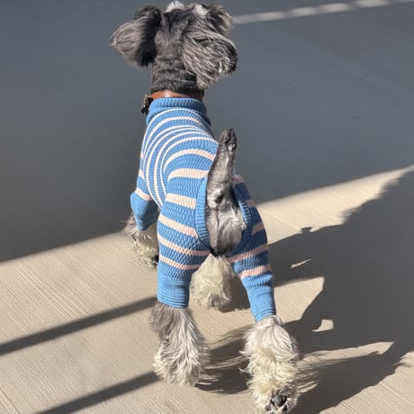 <MINIATURE SCHNAUZER> Thermal Knit Rompers: blue border  <ﾐﾆﾁｭｱｼｭﾅｳｻﾞｰ:ｻｰﾏﾙﾆｯﾄﾛﾝﾊﾟｰｽ: ﾌﾞﾙｰﾎﾞｰﾀﾞｰ>
