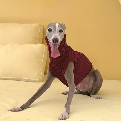 Rib stretch knit tops:WINE// リブストレッチニットトップス: ワイン